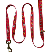 Lade das Bild in den Galerie-Viewer, Feeling Pupkin Spicy - Leine