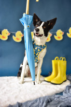 Lade das Bild in den Galerie-Viewer, You Quack me Up - Geschirr