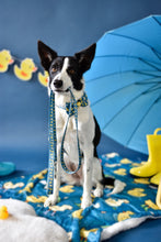 Lade das Bild in den Galerie-Viewer, You Quack me Up - Leine