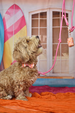 Lade das Bild in den Galerie-Viewer, Summer Crush- Poo Bag