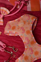 Lade das Bild in den Galerie-Viewer, Summer Crush - Geschirr