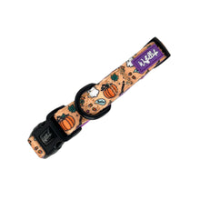 Lade das Bild in den Galerie-Viewer, Hocus Pawcus - Halsband