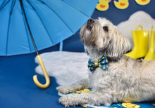 Lade das Bild in den Galerie-Viewer, You Quack me Up - Bow