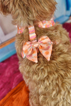 Lade das Bild in den Galerie-Viewer, Summer Crush - Bow / Sailor Bow