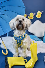 Lade das Bild in den Galerie-Viewer, You Quack me Up - Geschirr