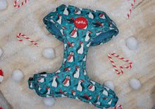 Lade das Bild in den Galerie-Viewer, Penguin Parade - Geschirr