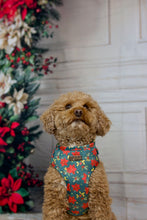 Lade das Bild in den Galerie-Viewer, Sparkling Christmas - SAMT Geschirr