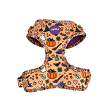 Lade das Bild in den Galerie-Viewer, Hocus Pawcus - Geschirr