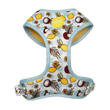 Lade das Bild in den Galerie-Viewer, Pawtida de Coco - Geschirr