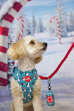 Lade das Bild in den Galerie-Viewer, Penguin Parade - Geschirr