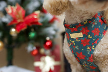 Lade das Bild in den Galerie-Viewer, Sparkling Christmas - SAMT Geschirr