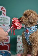 Lade das Bild in den Galerie-Viewer, Penguin Parade - Geschirr