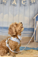 Lade das Bild in den Galerie-Viewer, Coastal Breeze - Leine
