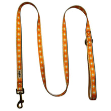 Lade das Bild in den Galerie-Viewer, Let the Sunshine in - Leine