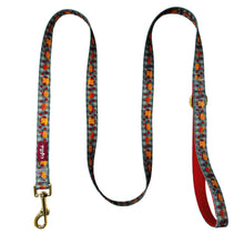 Lade das Bild in den Galerie-Viewer, Cosy Pumpkin Patch - Leine