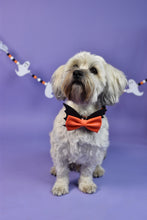 Lade das Bild in den Galerie-Viewer, BAT BOW XL - orange