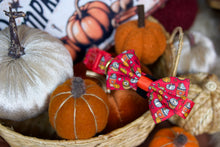 Lade das Bild in den Galerie-Viewer, Feeling Pupkin Spicy - Bow