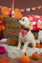 Lade das Bild in den Galerie-Viewer, Feeling Pupkin Spicy - Bandana