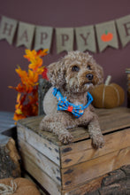 Lade das Bild in den Galerie-Viewer, I am nuts about You - Bow