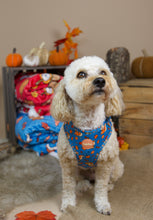 Lade das Bild in den Galerie-Viewer, I am nuts about You - Geschirr