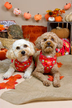 Lade das Bild in den Galerie-Viewer, Feeling Pupkin Spicy - Geschirr