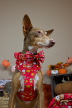 Lade das Bild in den Galerie-Viewer, Feeling Pupkin Spicy - Bow