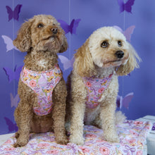 Lade das Bild in den Galerie-Viewer, Dancing around Flowers - Geschirr