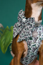 Lade das Bild in den Galerie-Viewer, Totally Koalafied - Bow / Sailor Bow