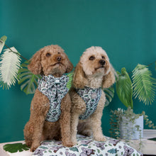 Lade das Bild in den Galerie-Viewer, Totally Koalafied - Geschirr