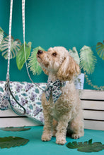 Lade das Bild in den Galerie-Viewer, Totally Koalafied - Halsband