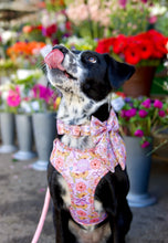 Lade das Bild in den Galerie-Viewer, Dancing around Flowers - Geschirr