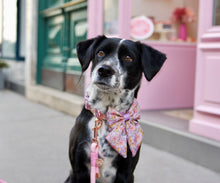 Lade das Bild in den Galerie-Viewer, Dancing around Flowers - Bow / Sailor Bow