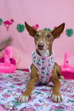 Lade das Bild in den Galerie-Viewer, Lazy Flamingo - Geschirr