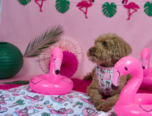 Lade das Bild in den Galerie-Viewer, Lazy Flamingo - Geschirr