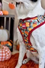 Lade das Bild in den Galerie-Viewer, Cosy Pumpkin Patch - Geschirr