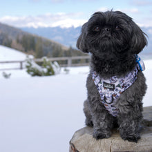 Lade das Bild in den Galerie-Viewer, Adventure Geschirr