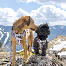 Lade das Bild in den Galerie-Viewer, Adventure Geschirr