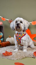 Lade das Bild in den Galerie-Viewer, Cosy Pumpkin Patch - Geschirr
