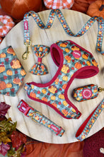 Lade das Bild in den Galerie-Viewer, Cosy Pumpkin Patch - Geschirr