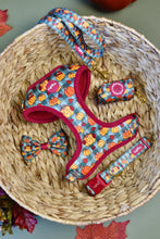 Lade das Bild in den Galerie-Viewer, Cosy Pumpkin Patch - Geschirr