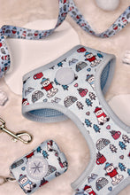 Lade das Bild in den Galerie-Viewer, Pawlar Bear Adventures - Geschirr