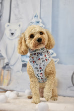 Lade das Bild in den Galerie-Viewer, Pawlar Bear Adventures - Geschirr