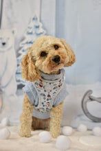 Lade das Bild in den Galerie-Viewer, Teddy Jumper - hellblau