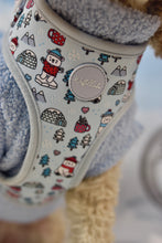 Lade das Bild in den Galerie-Viewer, Pawlar Bear Adventures - Geschirr