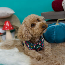 Lade das Bild in den Galerie-Viewer, Happy Shroomy - Geschirr