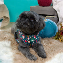 Lade das Bild in den Galerie-Viewer, Happy Shroomy - Geschirr