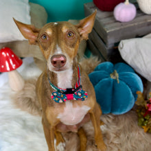 Lade das Bild in den Galerie-Viewer, Happy Shroomy - Halsband