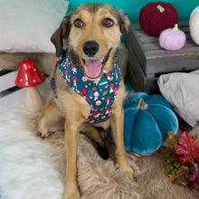 Lade das Bild in den Galerie-Viewer, Happy Shroomy - Geschirr