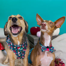 Lade das Bild in den Galerie-Viewer, Happy Shroomy - Geschirr