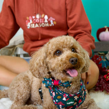 Lade das Bild in den Galerie-Viewer, COSY SEASON - Hoodie